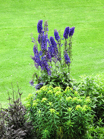 Butchart Garden