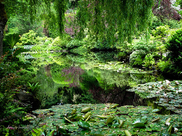 Butchart Garden