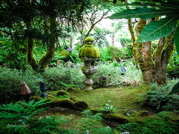 Butchart Garden