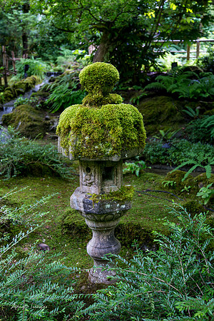 Butchart Garden