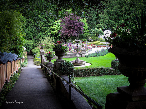 Butchart Garden