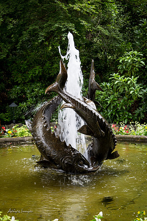Butchart Garden