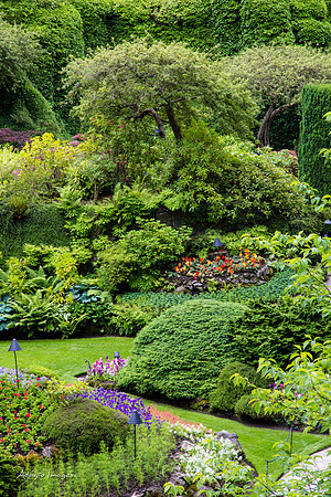Butchart Garden