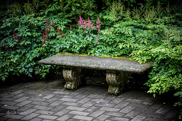 Butchart Garden