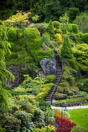 Butchart Garden