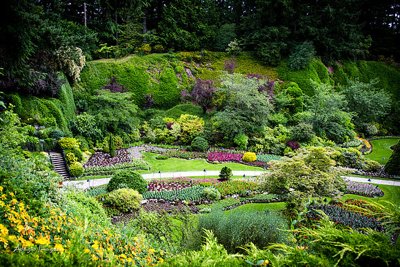 Butchart Garden