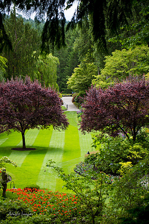 Butchart Garden