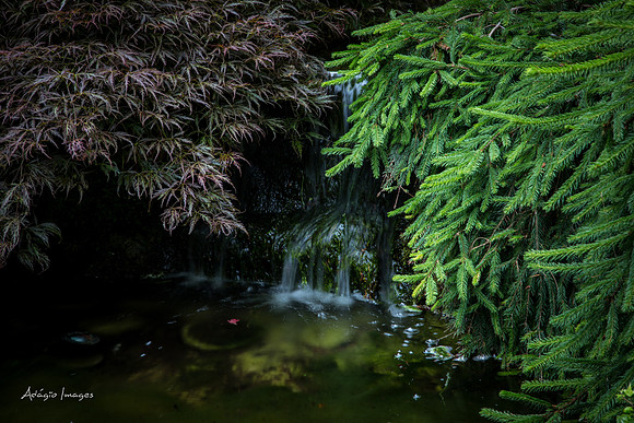 Butchart Garden