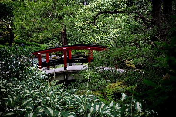 Butchart Garden