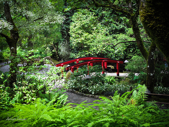 Butchart Garden