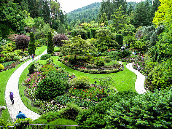 Butchart Garden