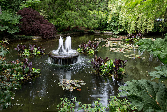 Butchart Garden
