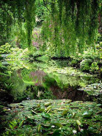Butchart Garden
