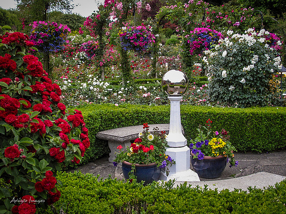 Butchart Garden