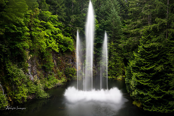Butchart Garden