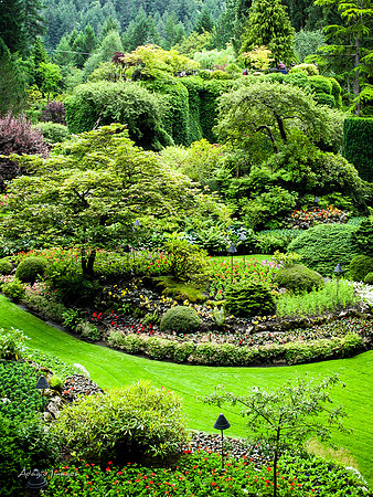 Butchart Garden