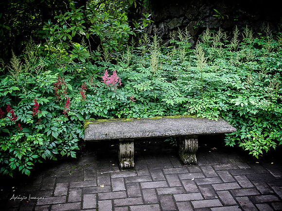 Butchart Garden