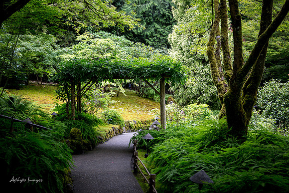 Butchart Garden