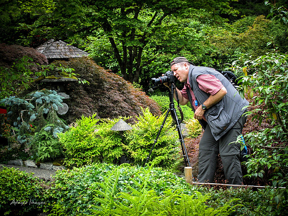 Butchart Garden