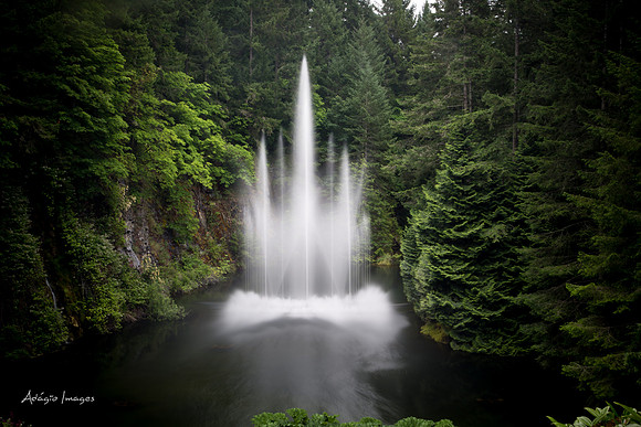 Butchart Garden