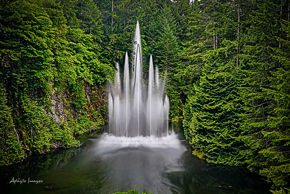 Butchart Garden