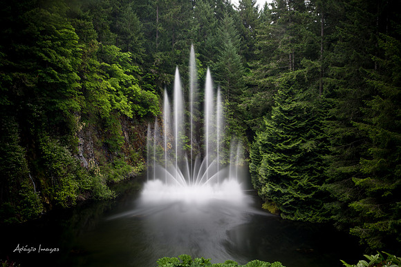 Butchart Garden