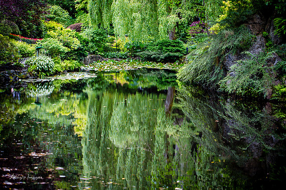 Butchart Garden