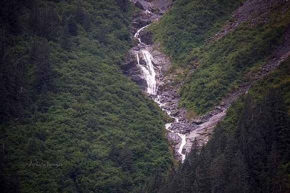 170727_Alaska_2183