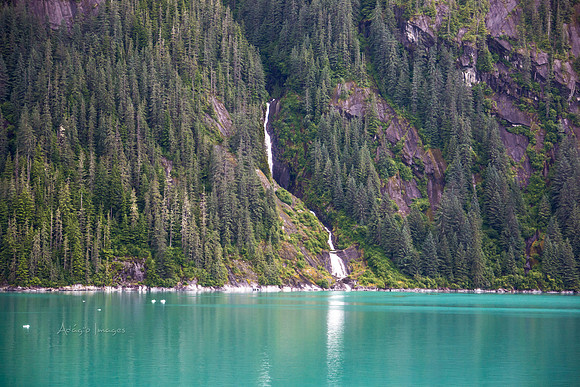 170727_Alaska_2140