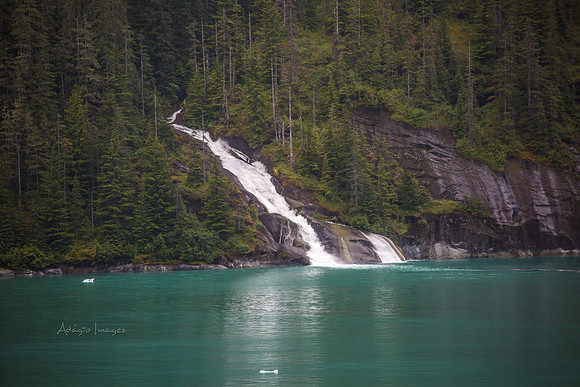 170727_Alaska_2190