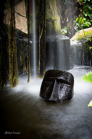 Victoria Butterfly Gardens
