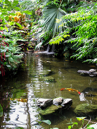 Victoria Butterfly Gardens