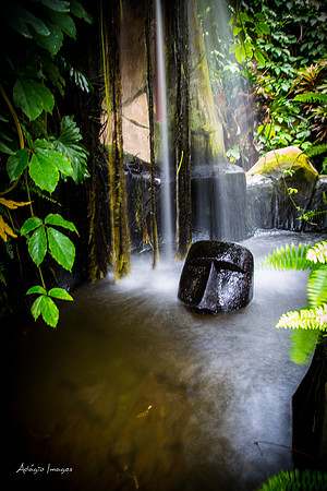 Victoria Butterfly Gardens