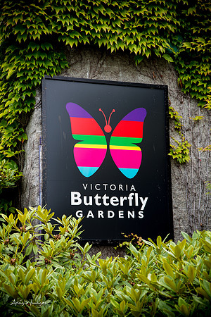 Victoria Butterfly Gardens