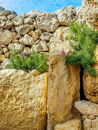 191123_Malta-M_0182