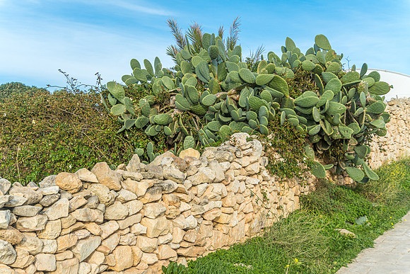 191122_Malta_0229