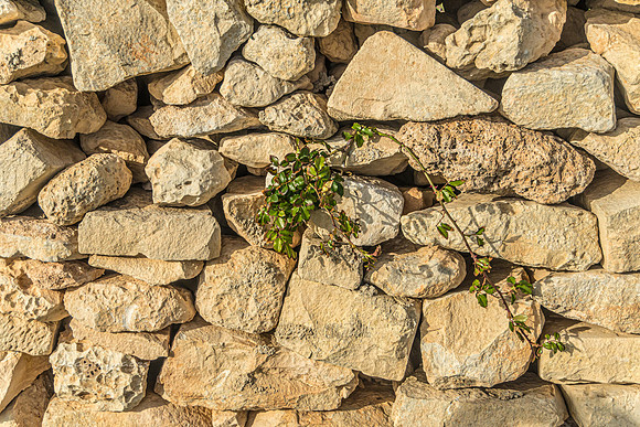 191122_Malta_0172