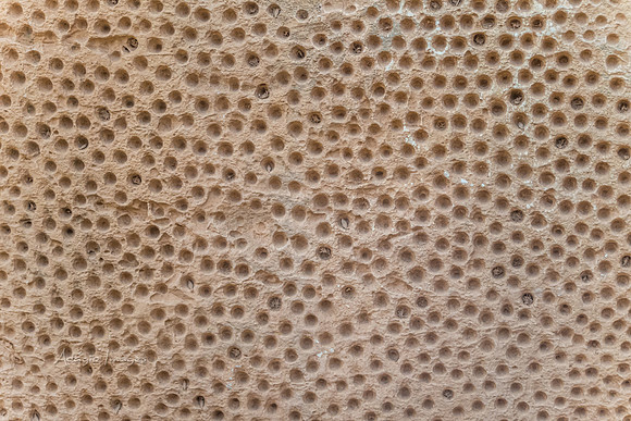 191122_Malta_0206
