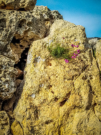 191123_Malta-M_0180