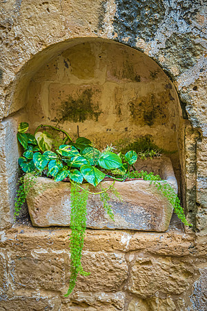 191123_Malta_0612