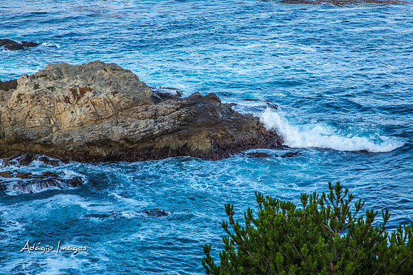 141014_California_1321