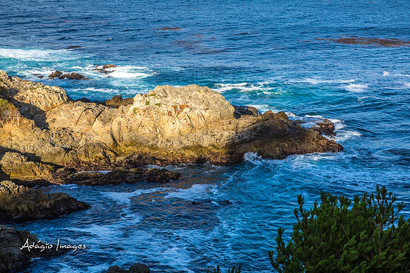 141014_California_1329