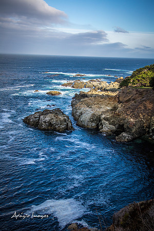 141014_California_1364