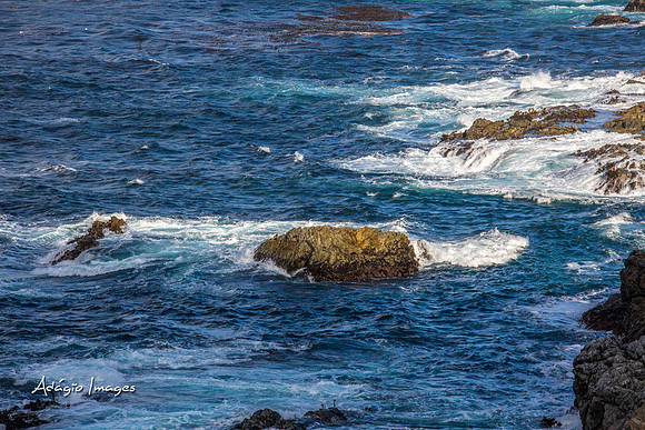 141014_California_1359