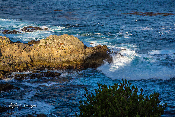 141014_California_1345