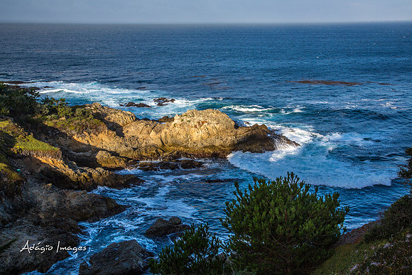 141014_California_1346