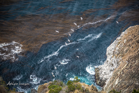 141014_California_1555