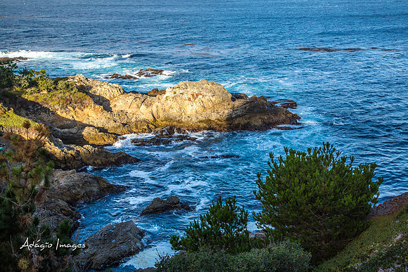 141014_California_1324