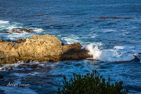 141014_California_1342