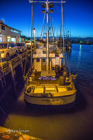141011_California_033
